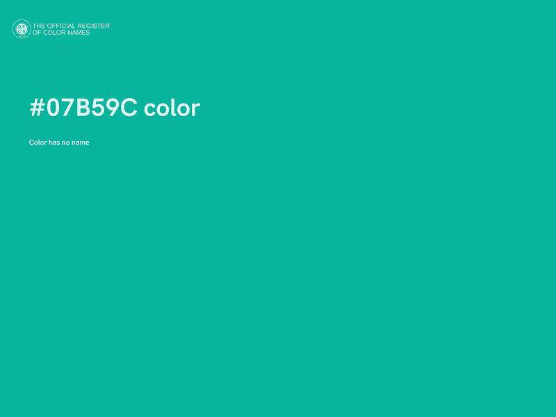 #07B59C color image