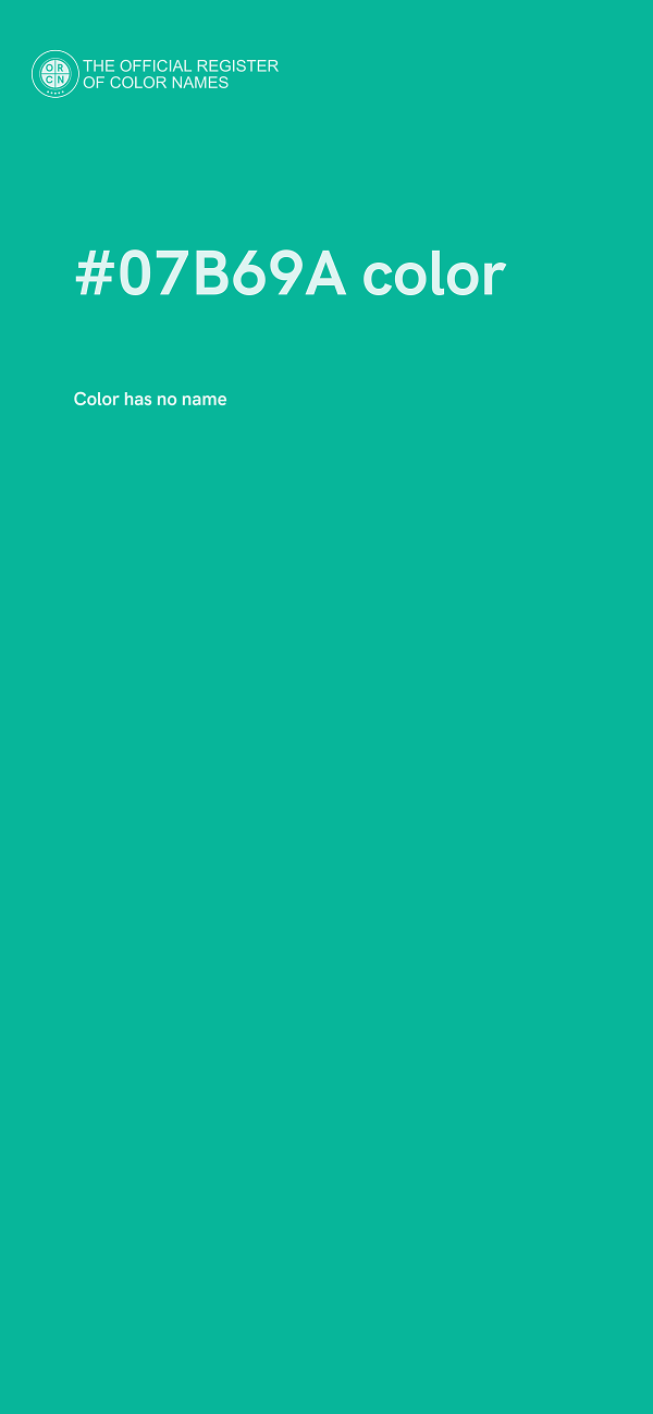 #07B69A color image