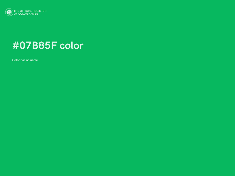 #07B85F color image