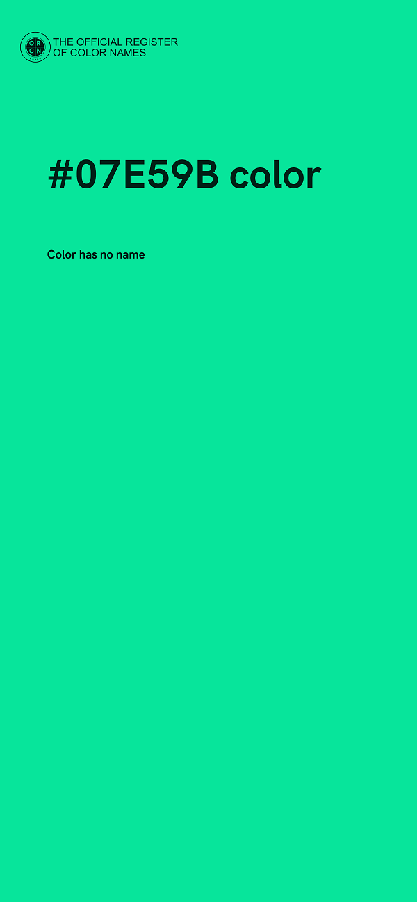 #07E59B color image