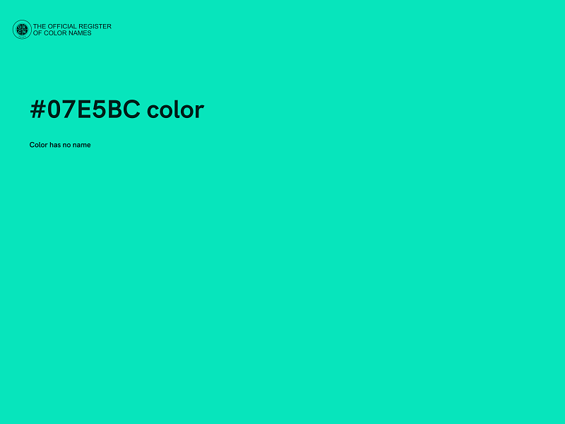 #07E5BC color image