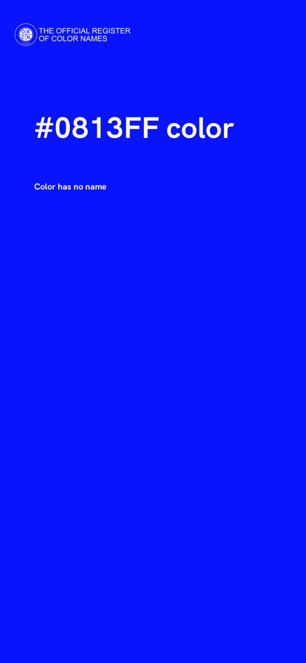 #0813FF color image