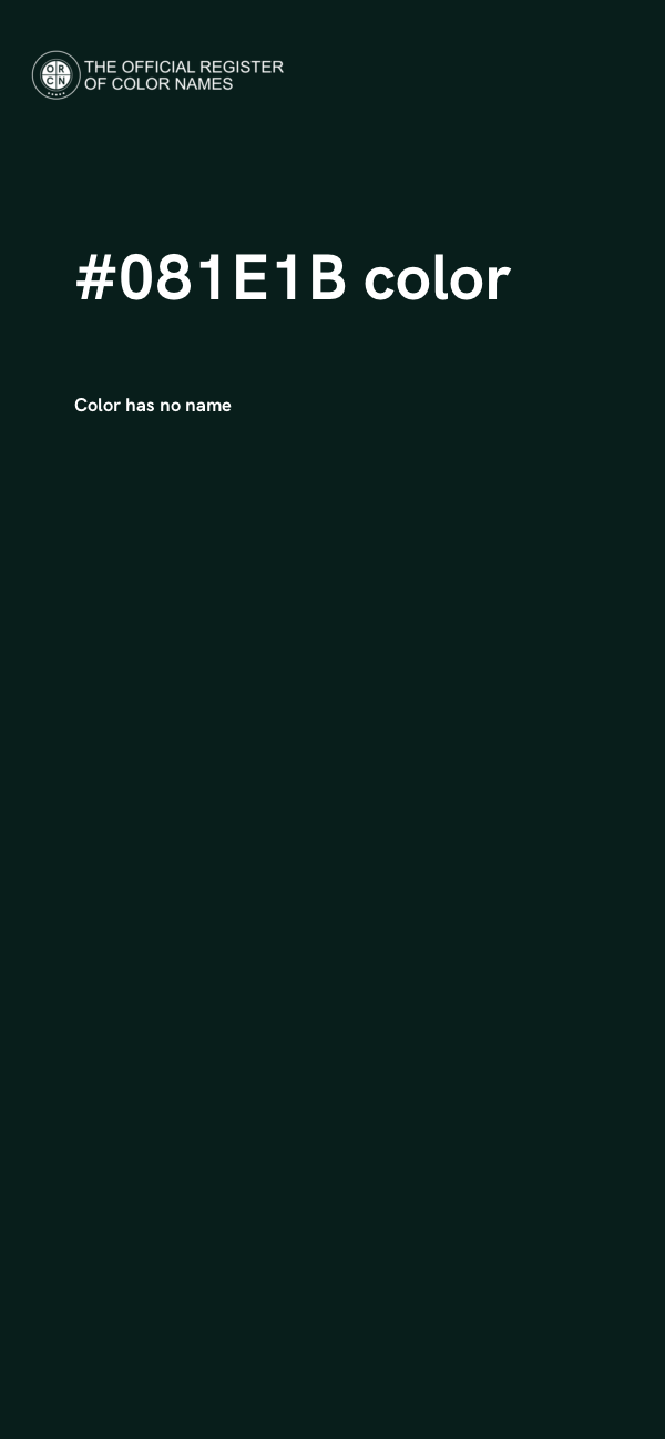 #081E1B color image