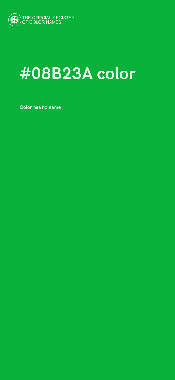 #08B23A color image
