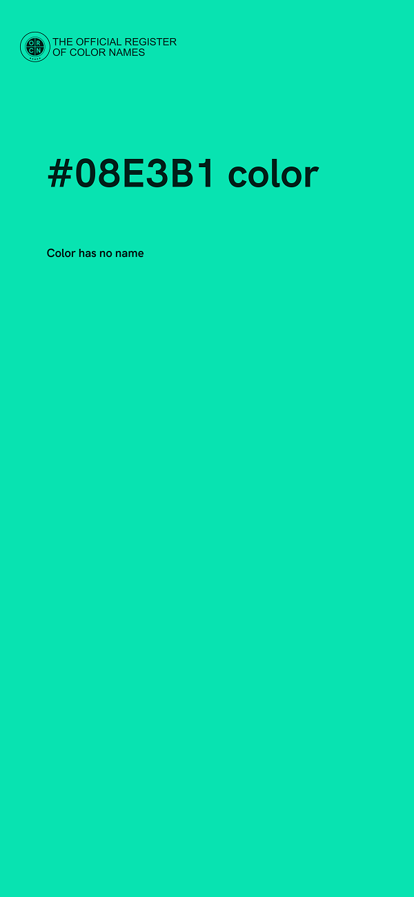 #08E3B1 color image