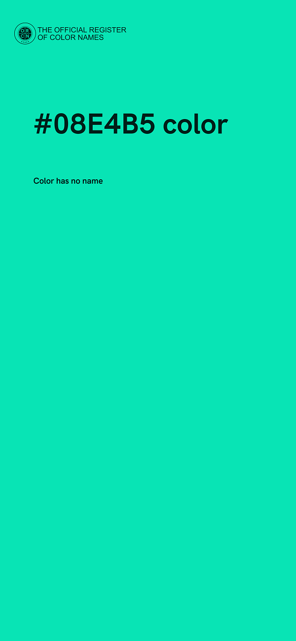 #08E4B5 color image