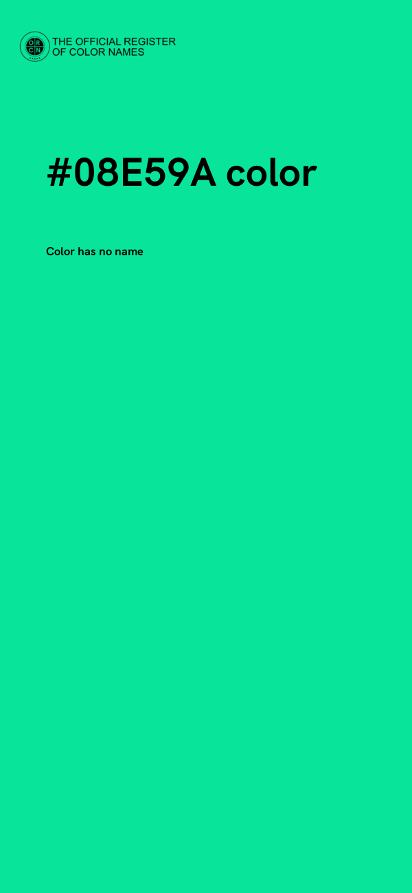 #08E59A color image