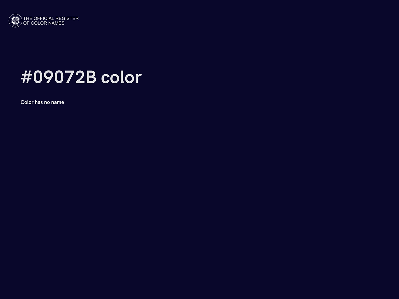 #09072B color image