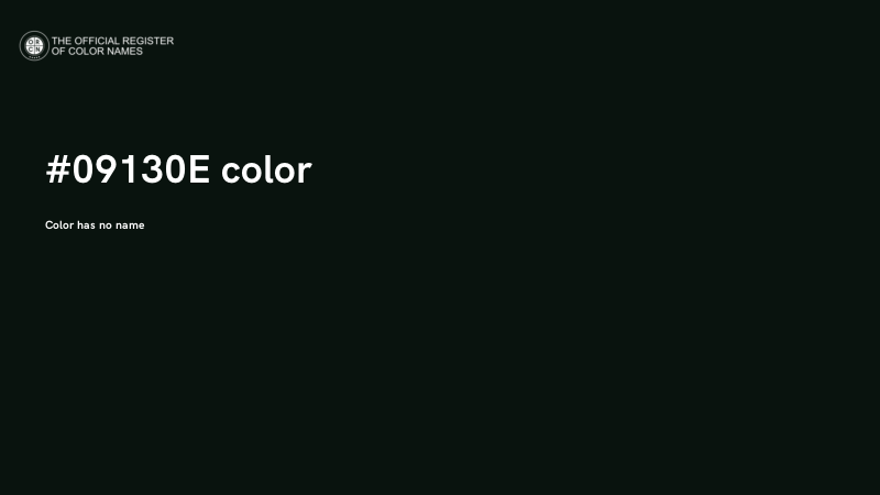 #09130E color image