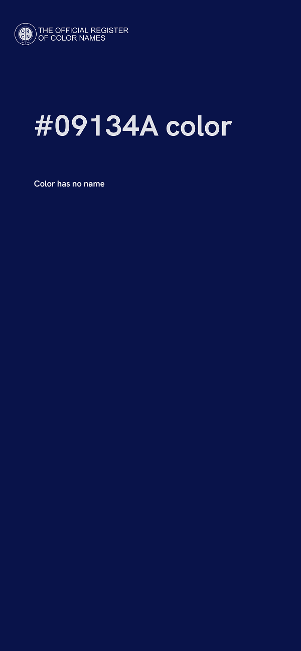 #09134A color image
