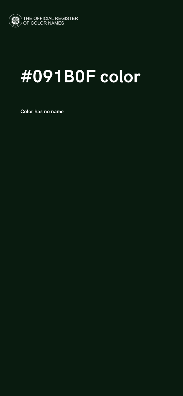 #091B0F color image
