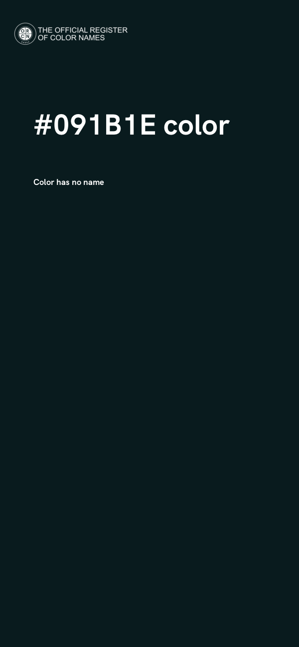 #091B1E color image