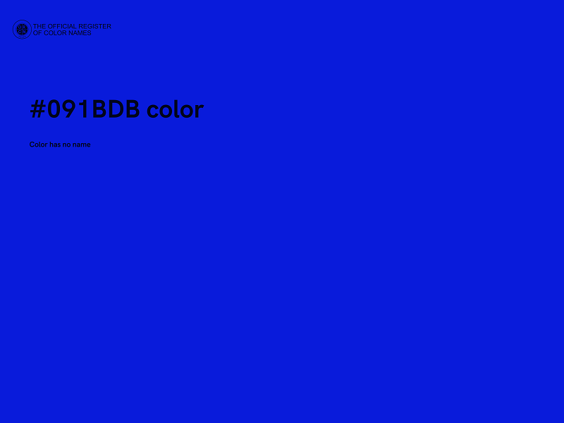 #091BDB color image