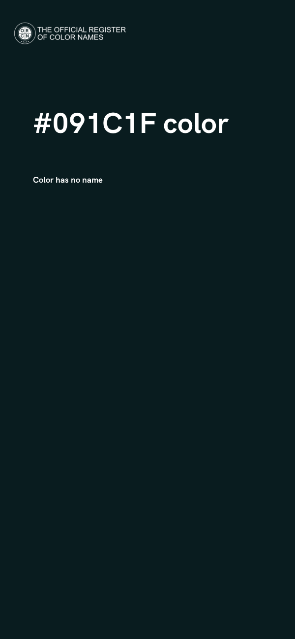 #091C1F color image