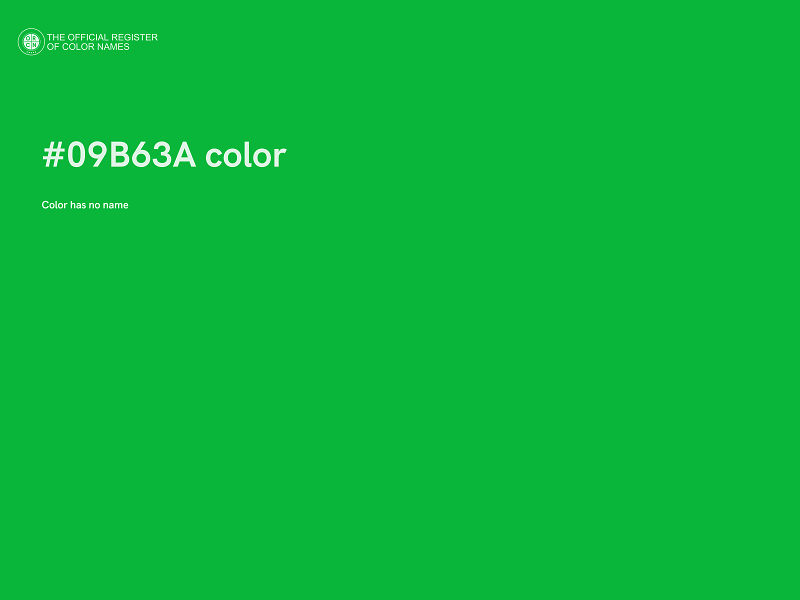 #09B63A color image