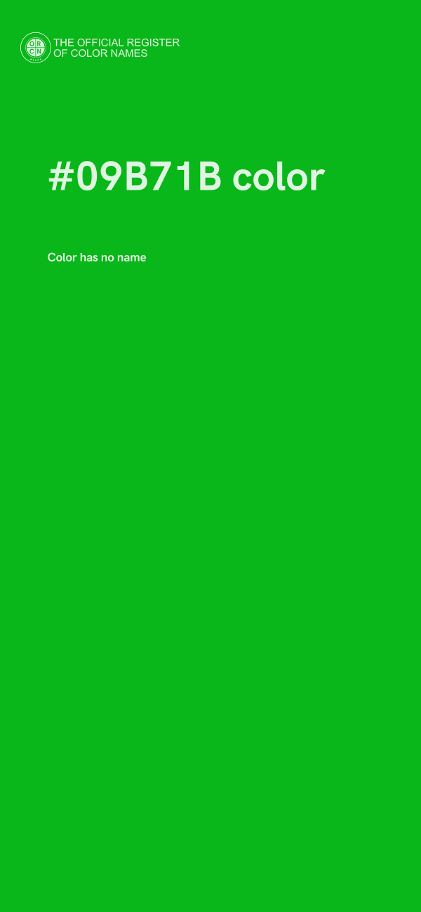 #09B71B color image