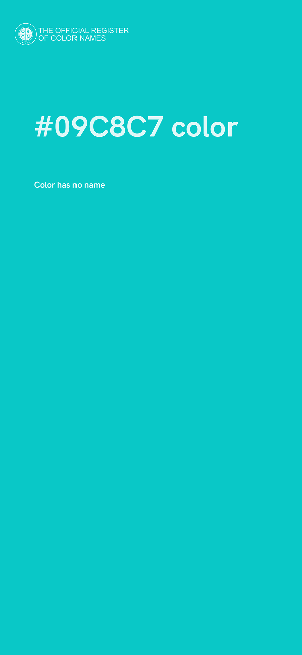#09C8C7 color image