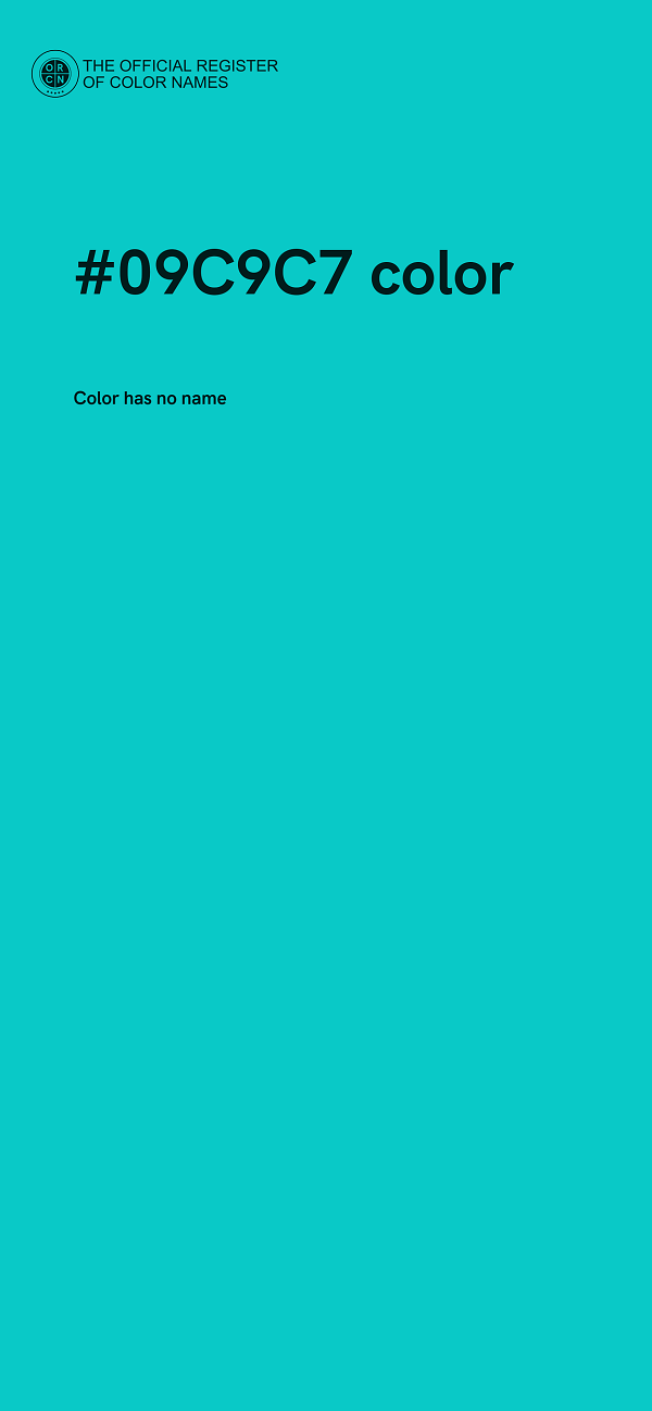 #09C9C7 color image