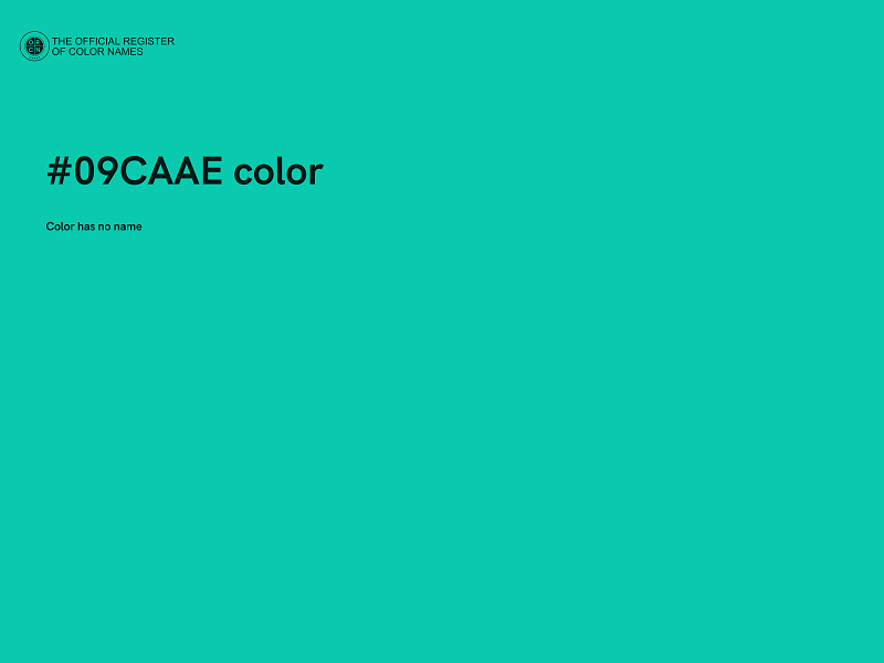 #09CAAE color image