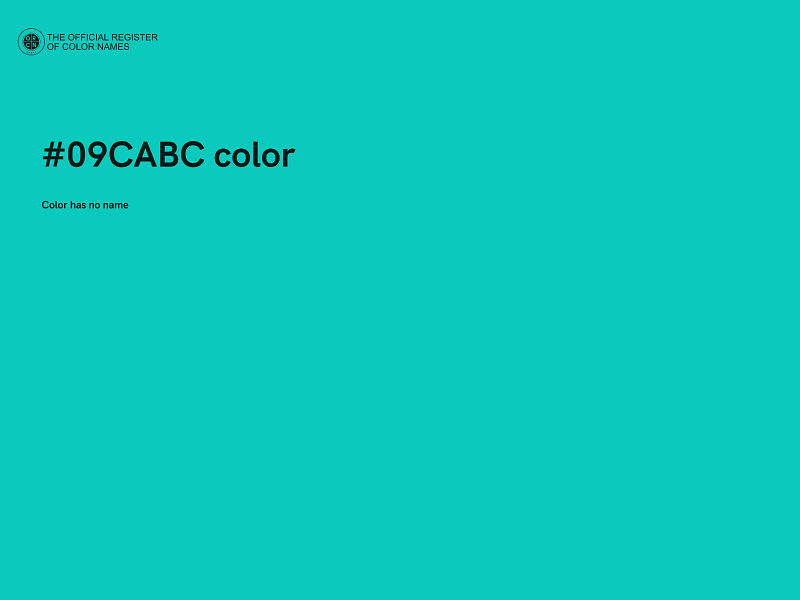 #09CABC color image