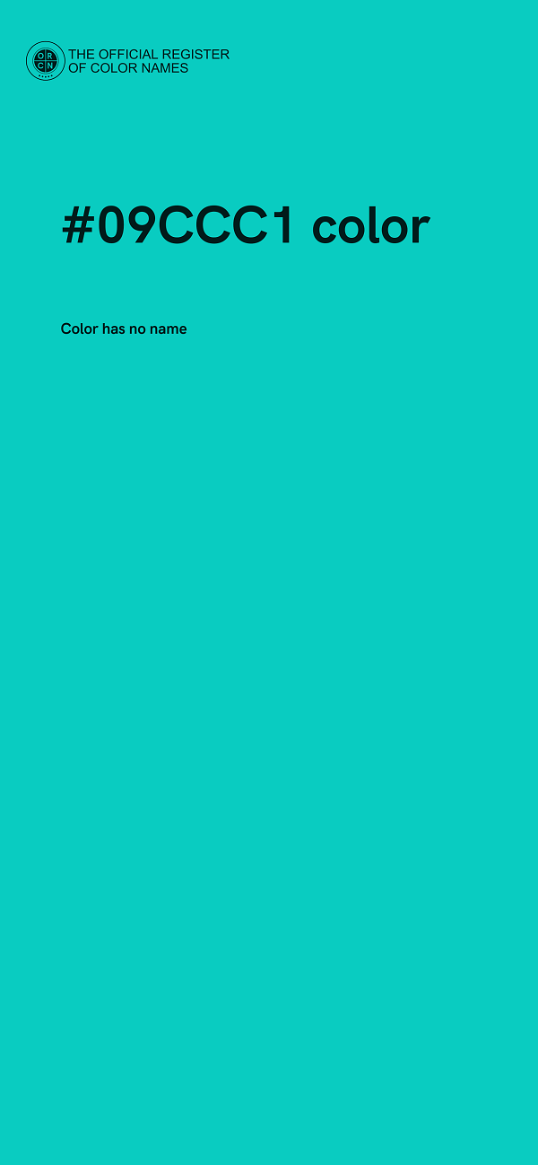 #09CCC1 color image
