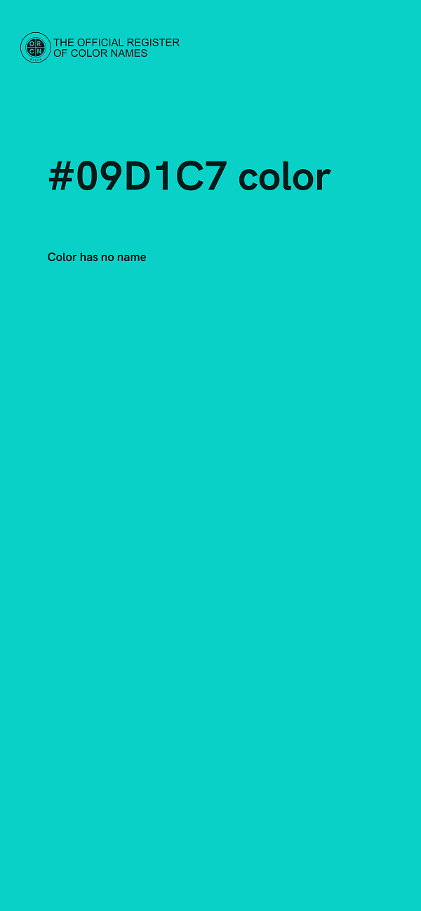 #09D1C7 color image