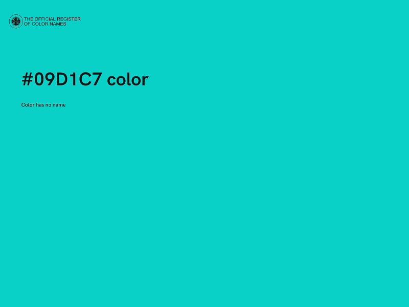 #09D1C7 color image