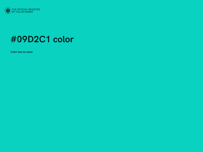 #09D2C1 color image