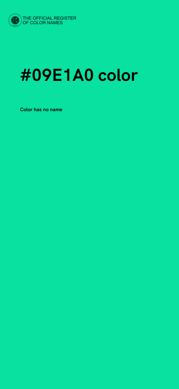 #09E1A0 color image