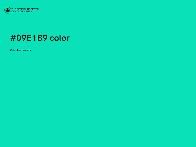 #09E1B9 color image