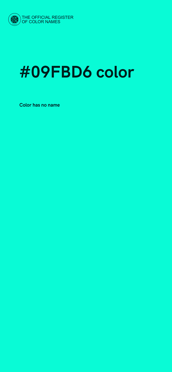 #09FBD6 color image
