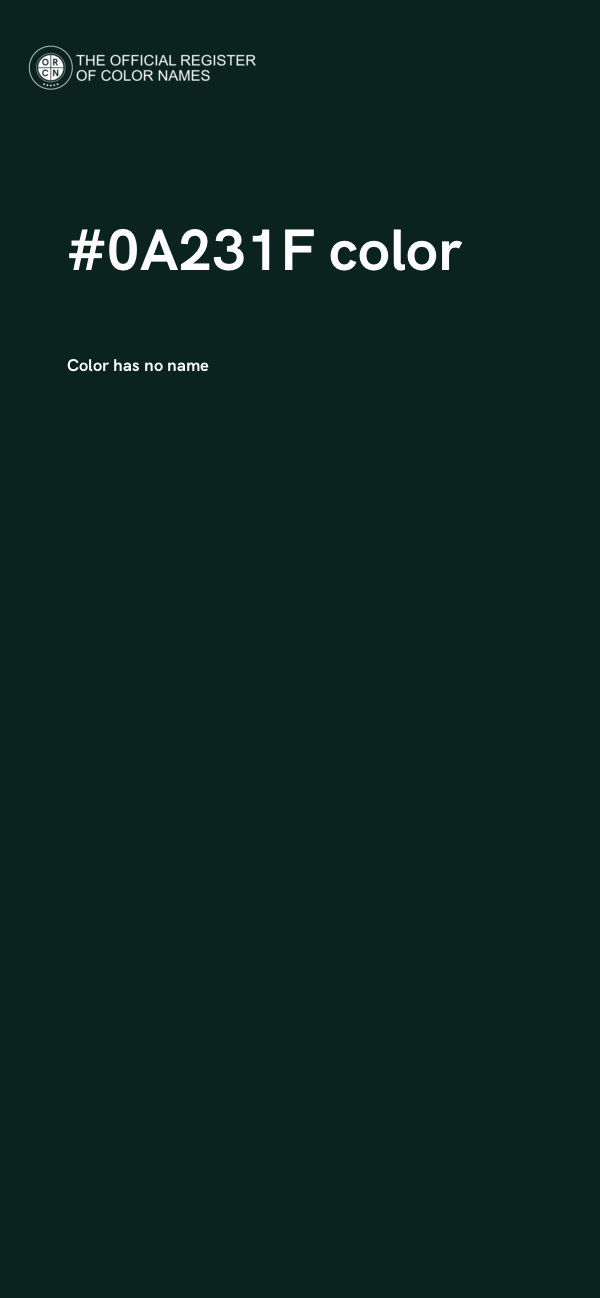 #0A231F color image