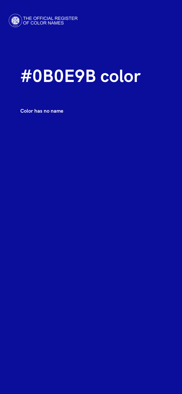 #0B0E9B color image