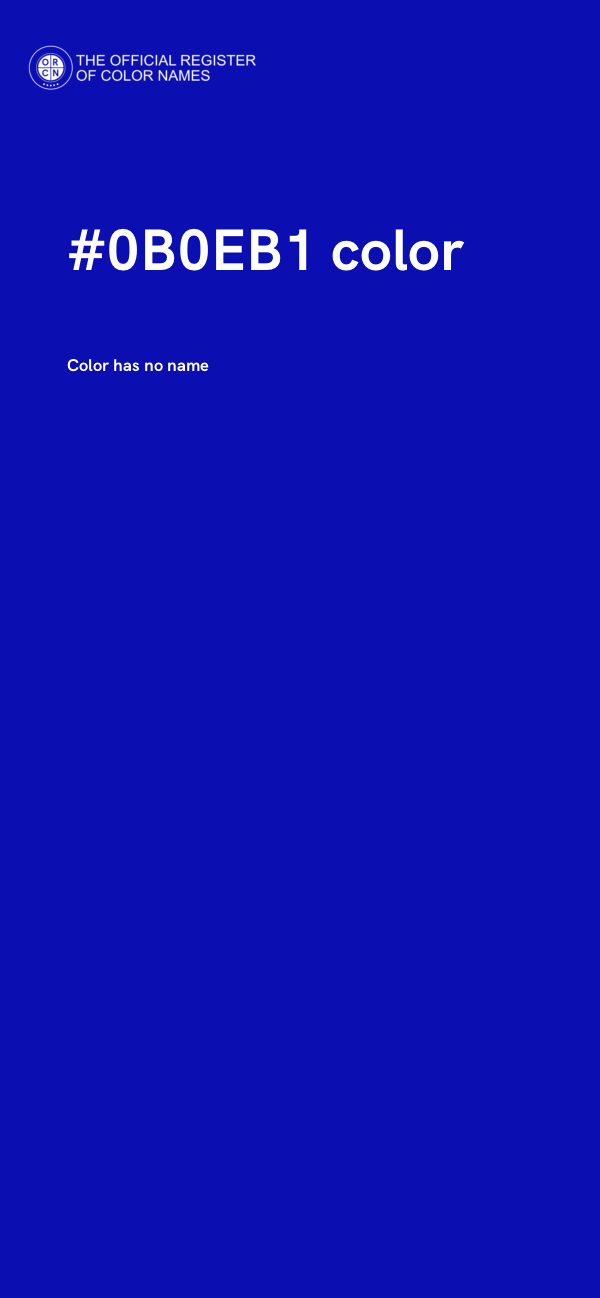 #0B0EB1 color image
