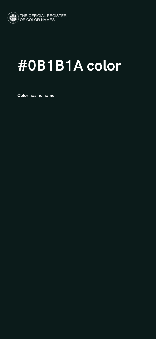 #0B1B1A color image