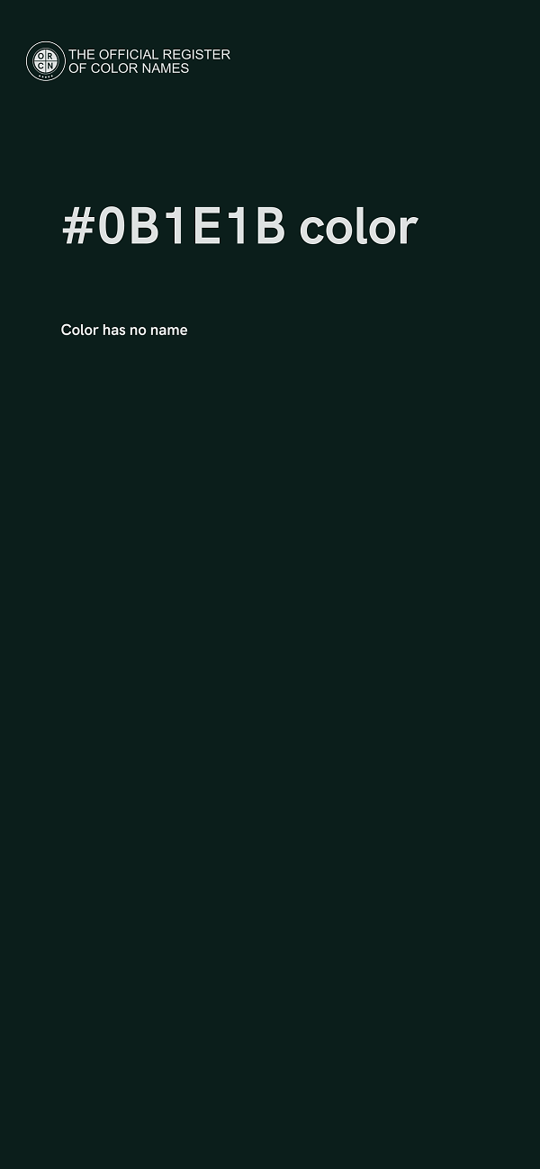 #0B1E1B color image