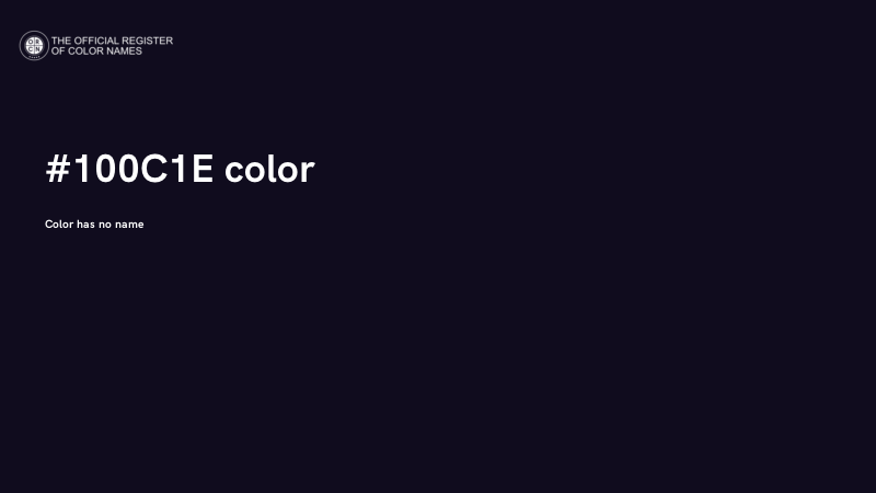 #100C1E color image