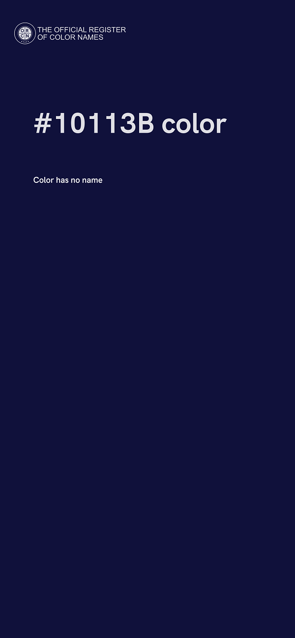 #10113B color image