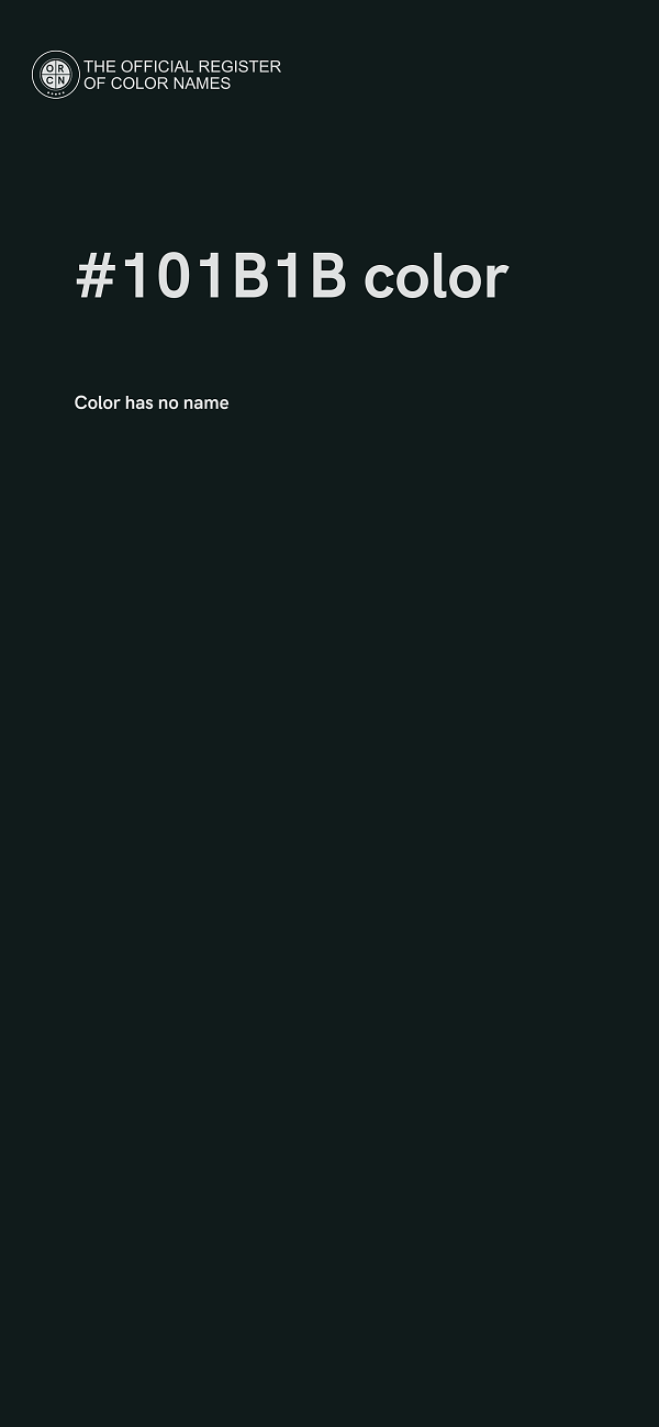 #101B1B color image