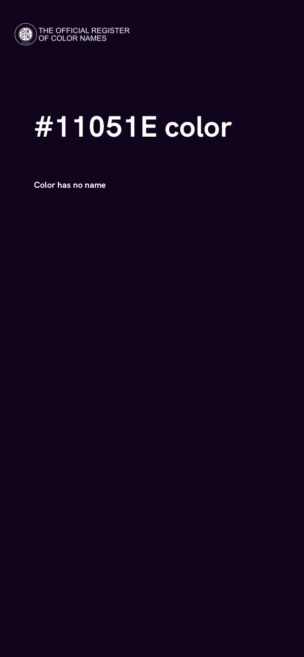 #11051E color image