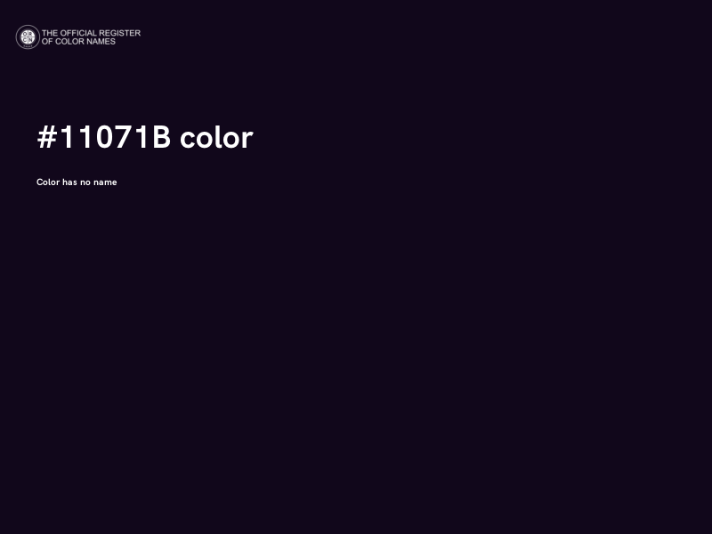 #11071B color image