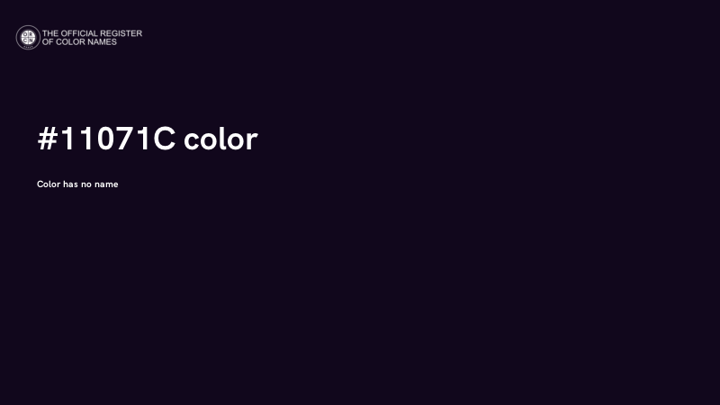 #11071C color image