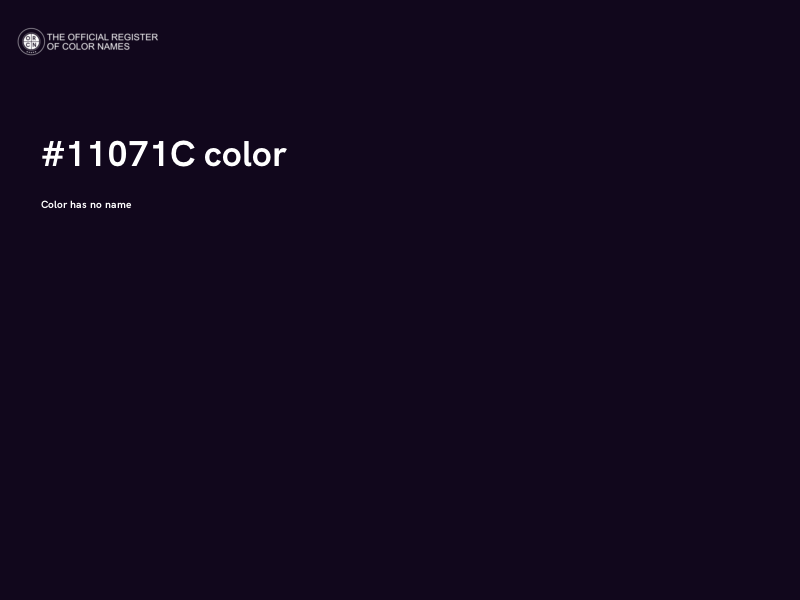 #11071C color image