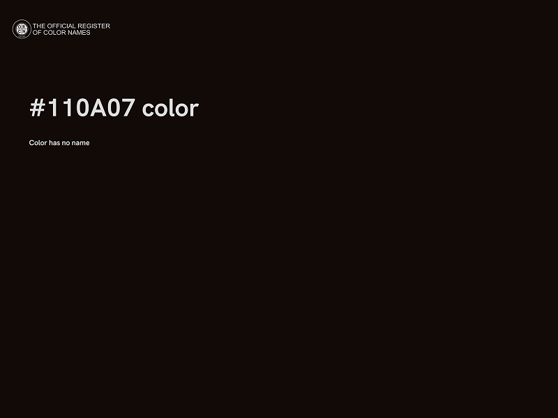 #110A07 color image