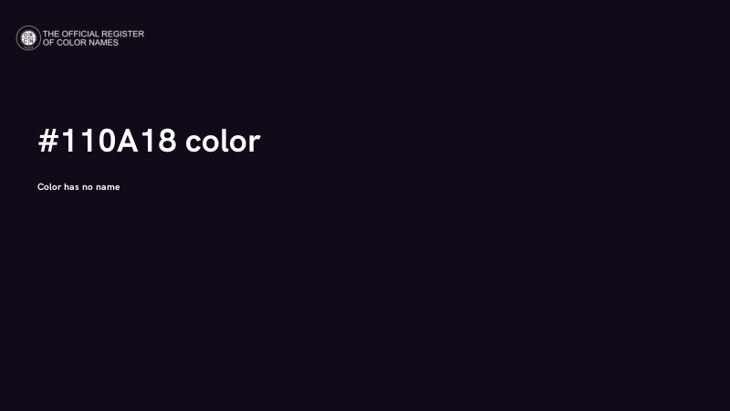 #110A18 color image
