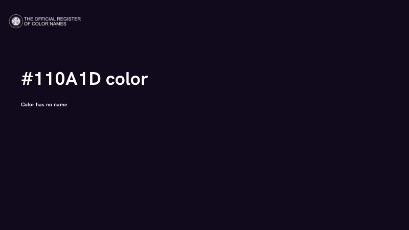 #110A1D color image