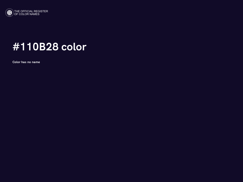 #110B28 color image