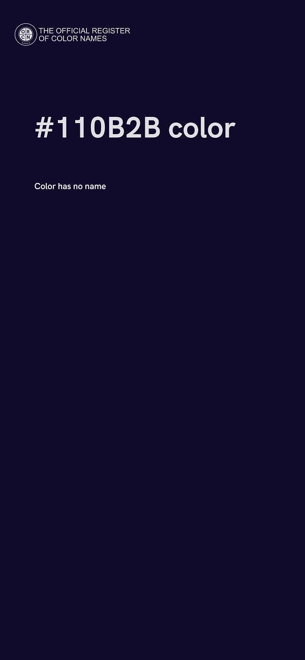 #110B2B color image