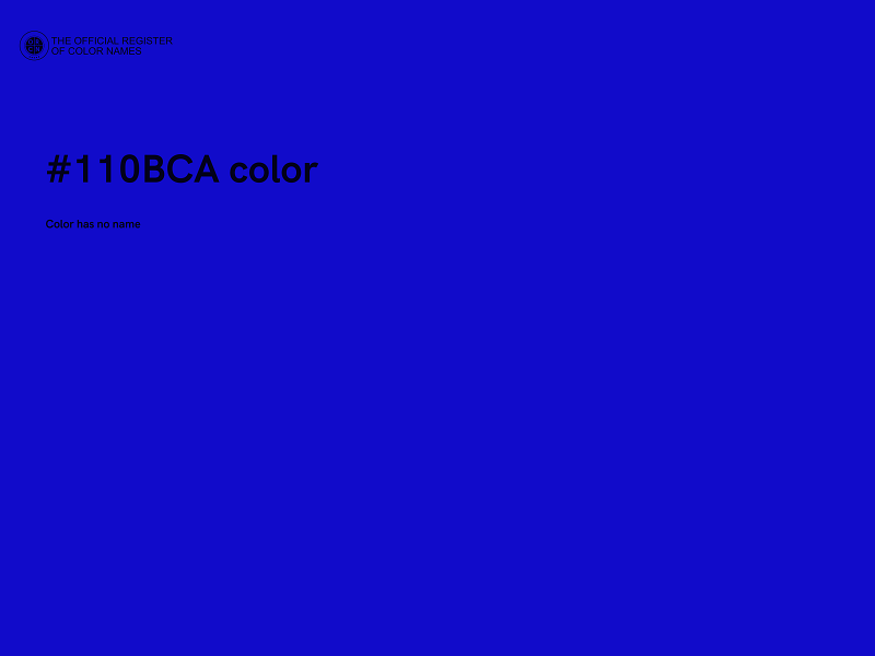 #110BCA color image