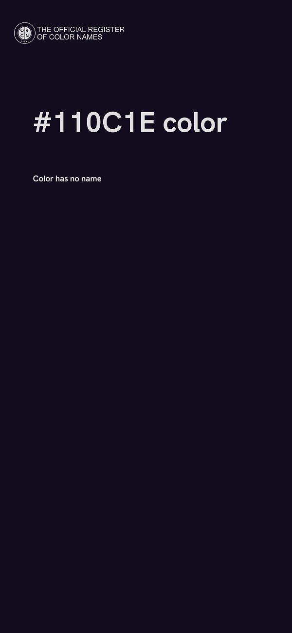 #110C1E color image